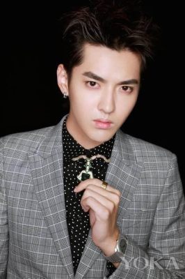  Kris Wu Fan Meeting – A Saga of Love, Fandom and…Legal Troubles?